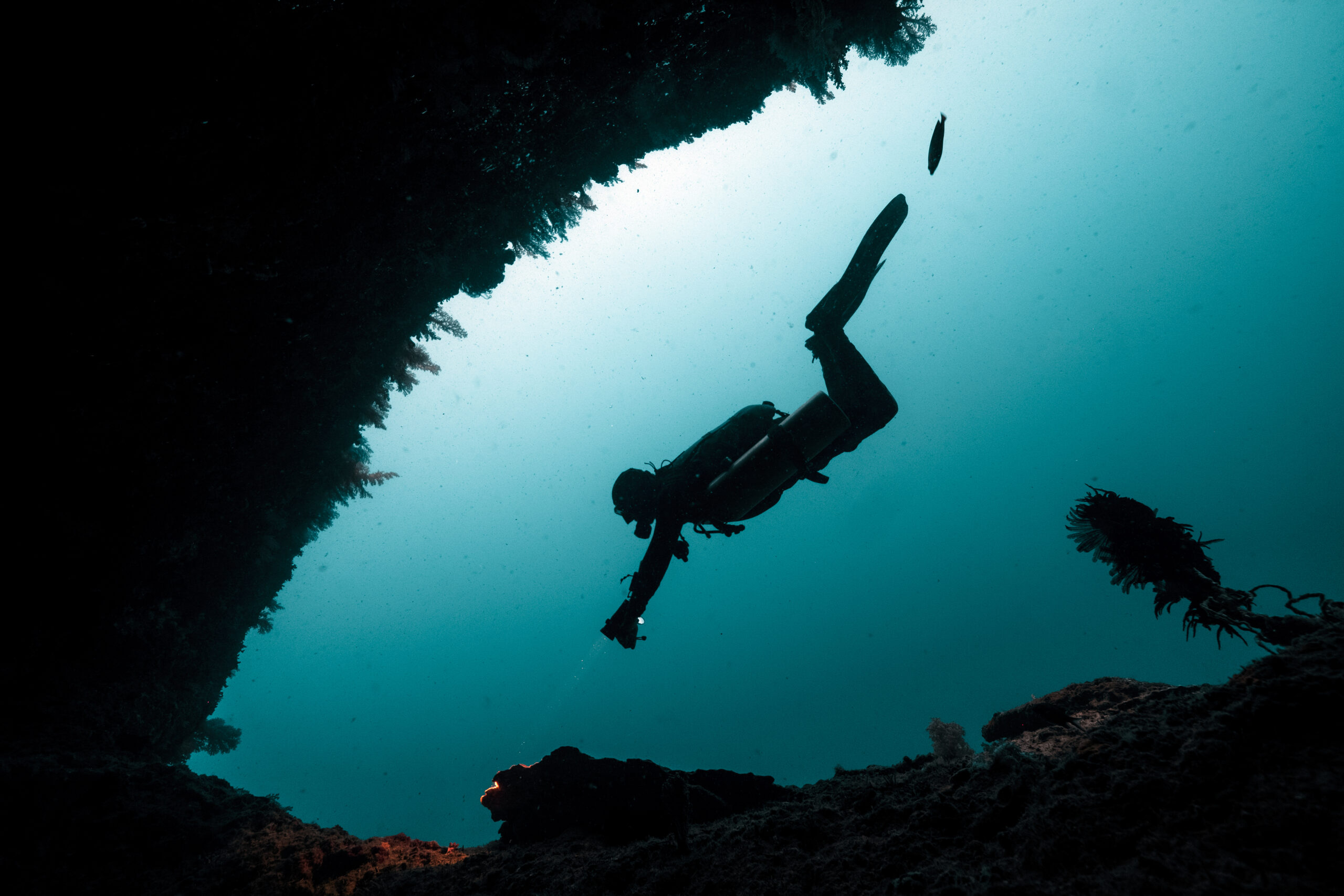 Technical diver in Pescador island